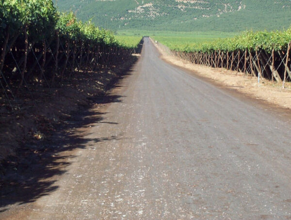 El desafío del polvo en caminos agrícolas: Soluciones innovadoras para proteger la productividad